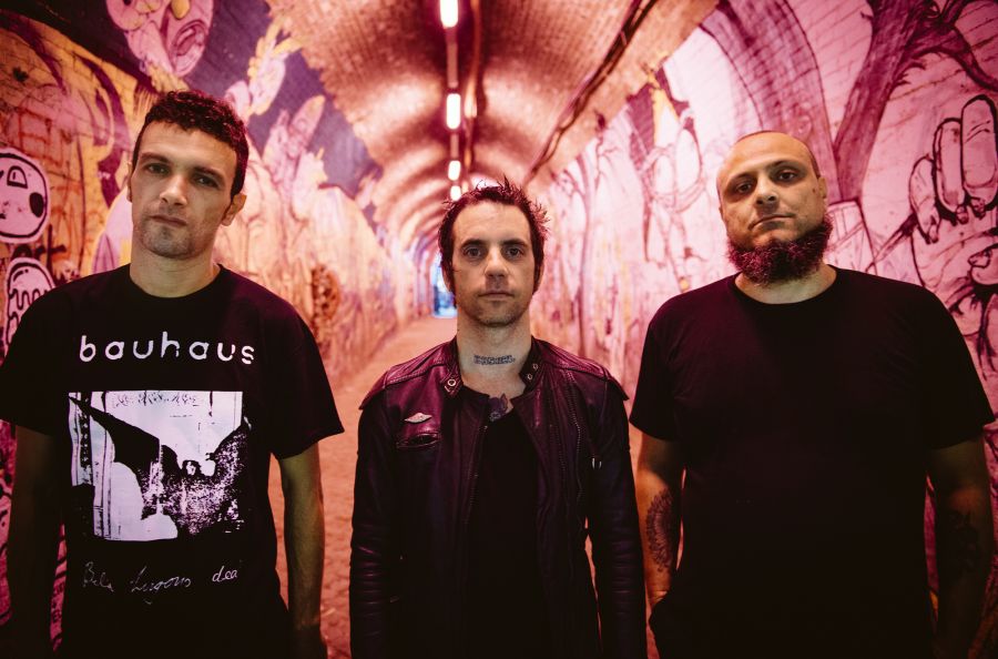 Zu na jedynym koncercie w Polsce