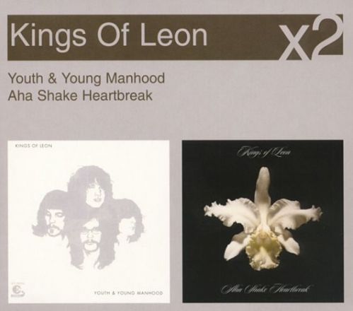 Youth & Young Manhood/Aha Shake Heartbreak