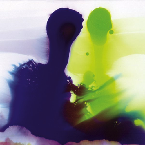 Qu'est-ce que c'est la vie, chaton?