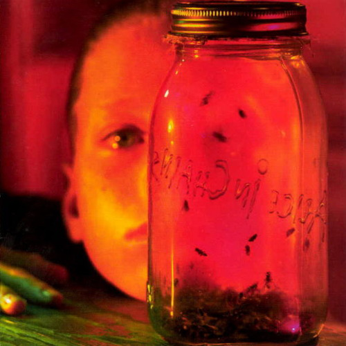 Jar Of Flies