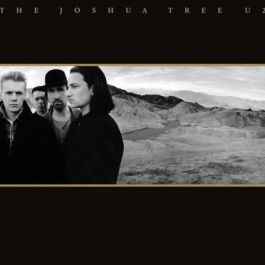 The Joshua Tree