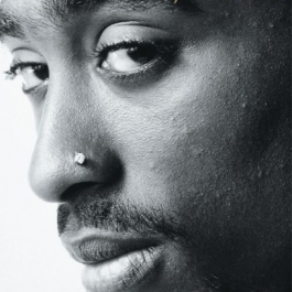 The Rose that Grew from Concrete