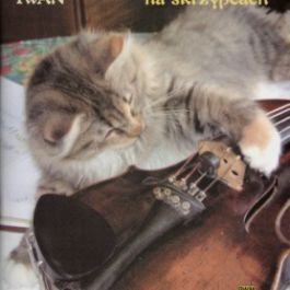 Ładnie Gram na Skrzypcach