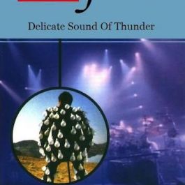 Delicate Sound of Thunder